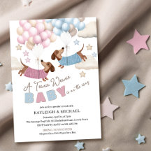 Schattige Dachshond Wiener Dog Geslacht Reveal Bab
