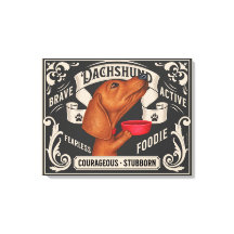 Schattige Dachshund bedelen voor voedsel