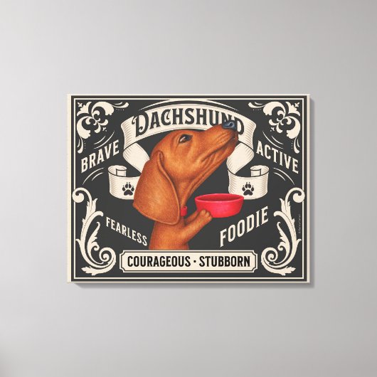 Schattige Dachshund bedelen voor voedsel Canvas Afdruk (Voorkant)