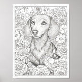 Schattige Dachshund Dog Kleurend Poster (Voorkant)
