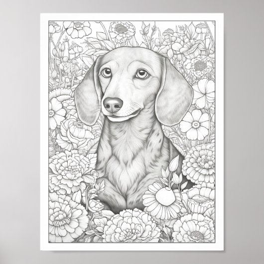 Schattige Dachshund Dog Kleurend Poster (Voorkant)