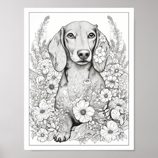 Schattige Dachshund Dog Kleurend Poster (Voorkant)