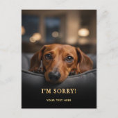 Schattige Dachshund Het Spijt Me Postkaart (Voorkant)
