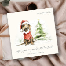 Schattige Dachshund Hondenharige en Bright Christm