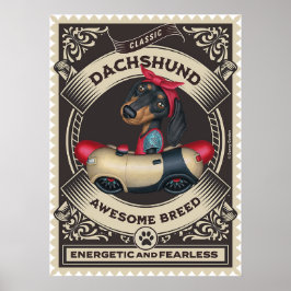 Schattige Dachshund in Worstvormige Auto Poster