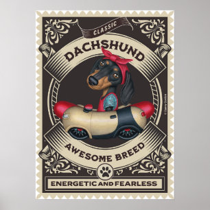 Schattige Dachshund in Worstvormige Auto Poster