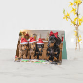 Schattige Dachshund Kerst Koekjes Kaart (Gele Bloem)