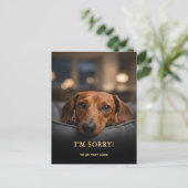 Schattige Dachshund Sorry Briefkaart (Staand voorkant)