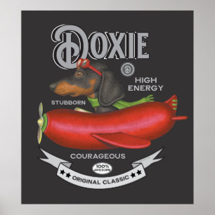 Schattige Dachshund Vliegend Worstvormig Vlak Poster