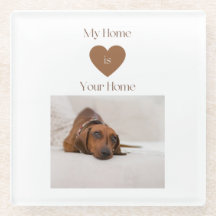 Schattige Dachshund Welkomst Hond Liefhebber Thuis