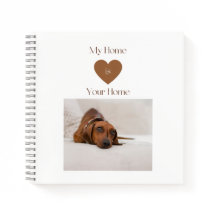 Schattige Dachshund Welkomst Hond Liefhebber Thuis