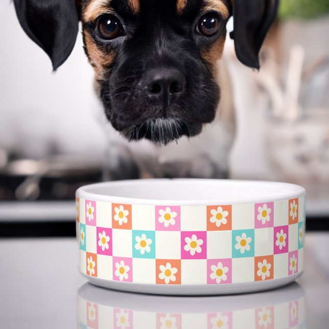 Schattige Daisy Chequerboard Eenvoudig Kleurrijk H Voerbakje (Cute dog bowl with colorful daisy chequerboard pattern)