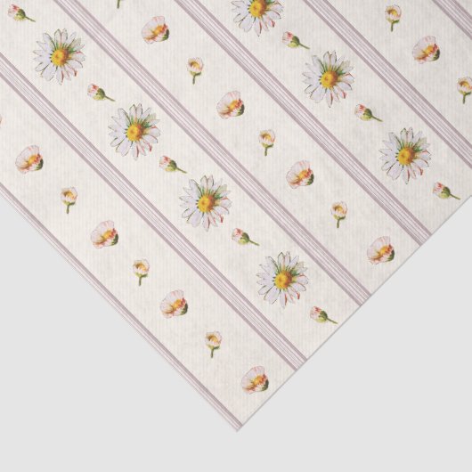Schattige Daisy Stripes Crème Wit Tissuepapier (Detail)