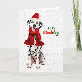 Schattige Dalmatiër Hond Grappige Vlooien Navidog Feestdagen Kaart