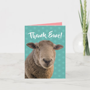 Schattige "Dank je, Ooi" kaart met een ooi