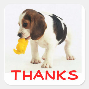 Schattige Dank Je Wel Beagle Puppy Hond Groet Stic Vierkante Sticker