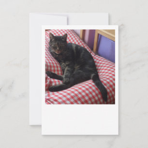 Schattige Dave Flat Save The Date