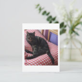 Schattige Dave Flat Save The Date (Staand voorkant)