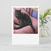 Schattige Dave Plat Aankondiging (Staand voorkant)