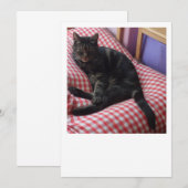 Schattige Dave Plat Aankondiging (Voorkant / Achterkant)