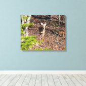 Schattige Deer in de Natuur van de Bossen Fotograf Canvas Afdruk (Insitu (Houten vloer))