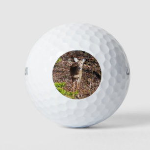 Schattige Deer in de Natuur van de Bossen Fotograf Golfballen