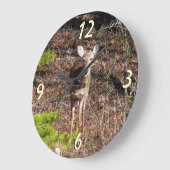 Schattige Deer in de Natuur van de Bossen Fotograf Grote Klok (Hoek)