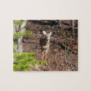 Schattige Deer in de Natuur van de Bossen Fotograf Legpuzzel