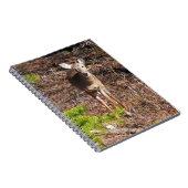 Schattige Deer in de Natuur van de Bossen Fotograf Notitieboek (Rechterzijde)