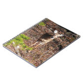Schattige Deer in de Natuur van de Bossen Fotograf Notitieboek (Linkerzijde)