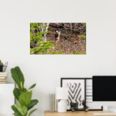 Schattige Deer in de Natuur van de Bossen Fotograf Poster (Thuiskantoor)