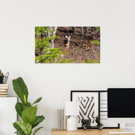 Schattige Deer in de Natuur van de Bossen Fotograf Poster (Thuiskantoor)
