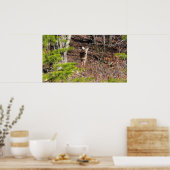 Schattige Deer in de Natuur van de Bossen Fotograf Poster (Keuken)