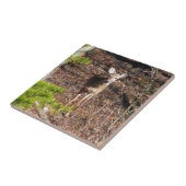 Schattige Deer in de Natuur van de Bossen Fotograf Tegeltje (Zijkant)