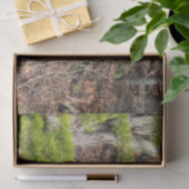 Schattige Deer in de Natuur van de Bossen Fotograf Tissuepapier (Geschenk)