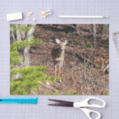 Schattige Deer in de Natuur van de Bossen Fotograf Tissuepapier (Craft)