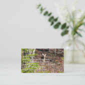 Schattige Deer in de Natuur van de Bossen Fotograf Visitekaartje (Staand voorkant)