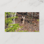 Schattige Deer in de Natuur van de Bossen Fotograf Visitekaartje (Achterkant)