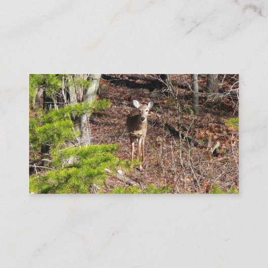 Schattige Deer in de Natuur van de Bossen Fotograf Visitekaartje (Achterkant)