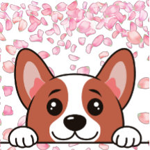 Schattige - Deken bedrukt met huisdieren