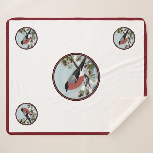 Schattige deken voor digitale tekenvogels (Voorkant (horizontaal))