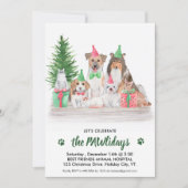 Schattige dieren Hog Cat Pet Business Kerstmis Kaart (Voorkant)