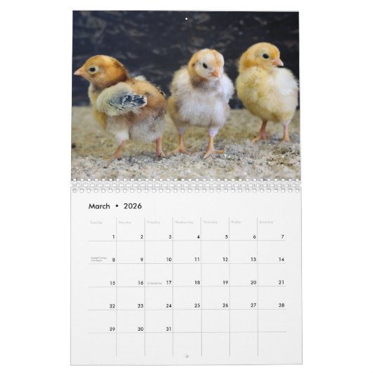 Schattige dieren op het Boerderij Kalender (Mar 2026)