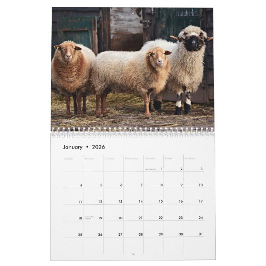 Schattige dieren op het Boerderij Kalender (Jan 2026)