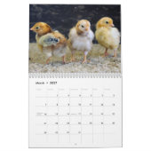 Schattige dieren op het Boerderij Kalender (Mar 2027)
