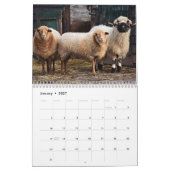Schattige dieren op het Boerderij Kalender (Jan 2027)