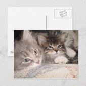 Schattige dierlijke briefkaarten (Voorkant / Achterkant)