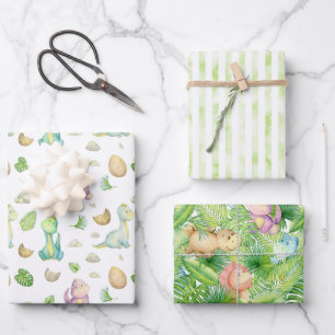Schattige Dinosaur Baby Inpakpapier Vel