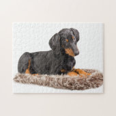 schattige doberman pinscher puppy legpuzzel (Horizontaal)