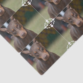Schattige Doberman Pinscher Tissuepapier (Detail)